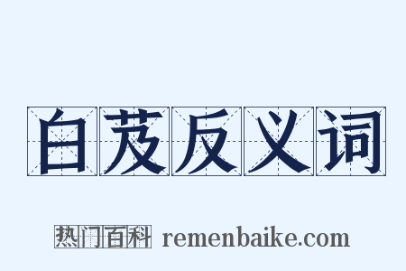 白芨反义词是什么意思的图片